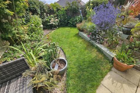 Rear Garden.jpg
