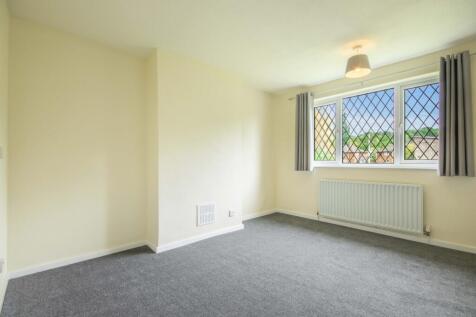 EweLamb-Lane-05