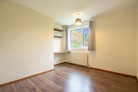 EweLamb-Lane-02