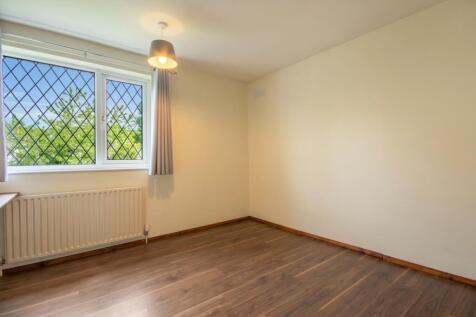 EweLamb-Lane-01
