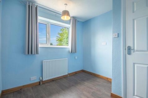 EweLamb-Lane-03