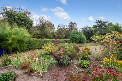 Garden2