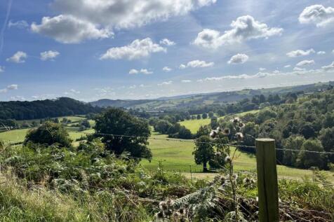 Scenery from Lane