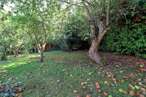Property Image 46