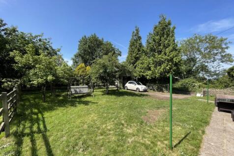 Garden 1