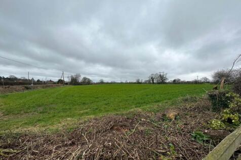 Field View
