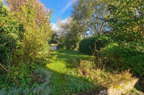 Garden 1