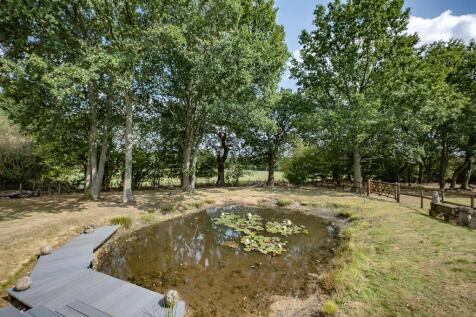 Clay pond