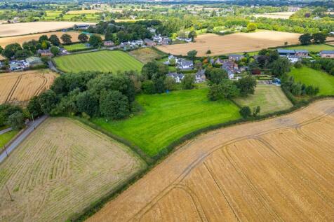 20240821-DJI_0597.jpg
