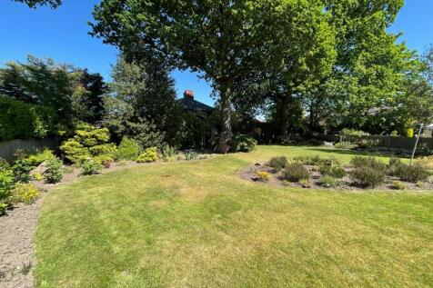 garden.jpg
