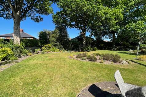 garden 1.jpg