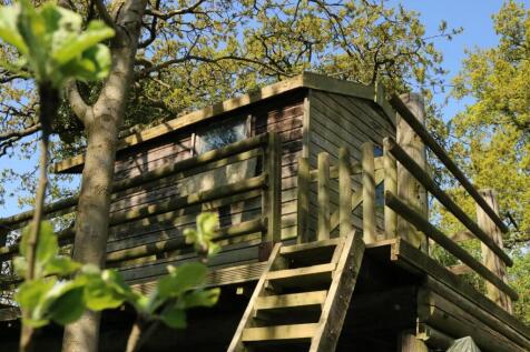 Treehouse.jpg