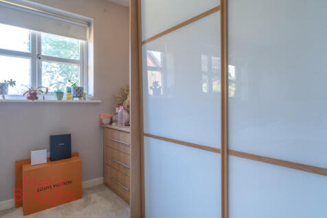 20250512-DSC01675.jpg