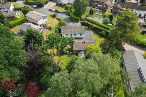20250511-DJI_0667.jpg