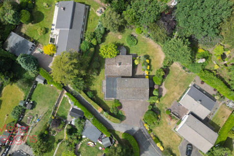 20250511-DJI_0665.jpg