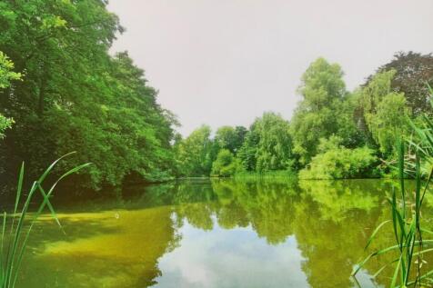 Lake.jpg