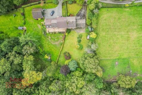20250915-DJI_0115.jpg