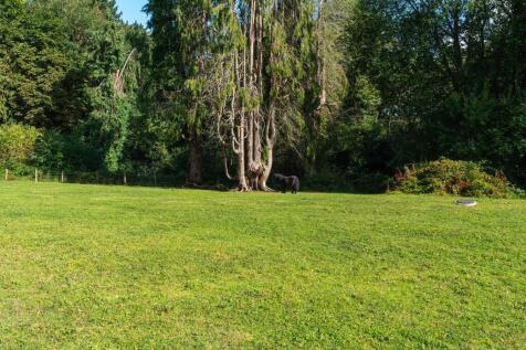 20240814-DSC08596 (1).jpg