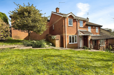 Front of plot