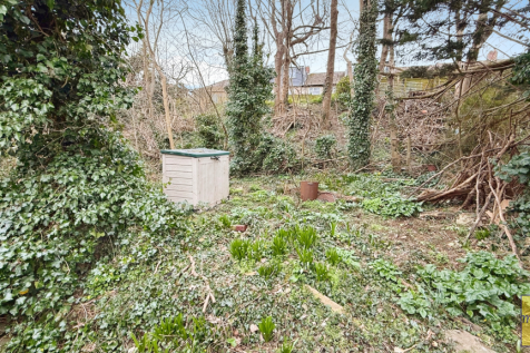Woodland area within plot