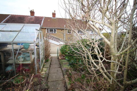 photo 5.JPG