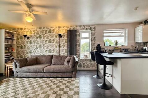 Kitchen/ Lounge/ Dining
