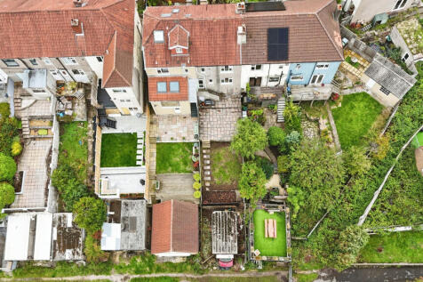 View of garden