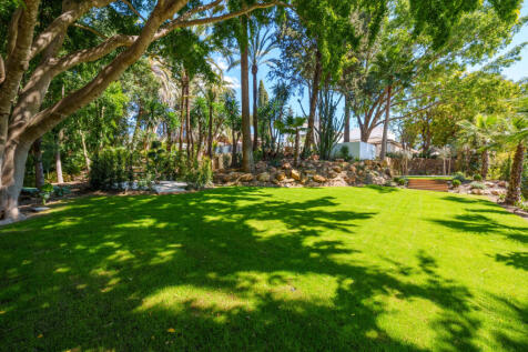 Property Image 39