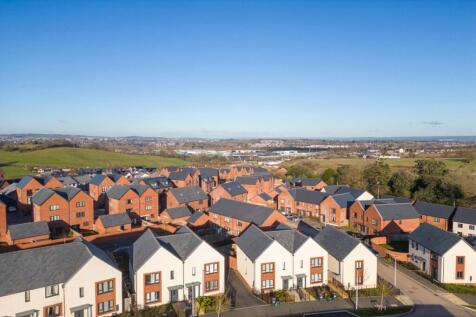 Site Views