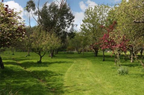 Orchard