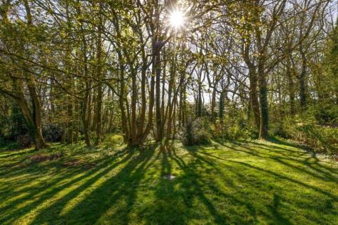 Woodlands