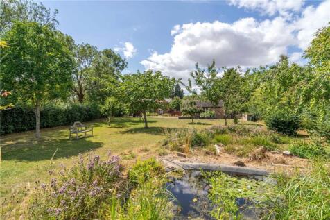 Mature Garden