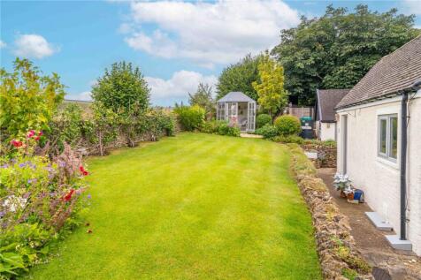 Back Garden