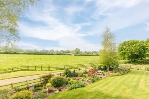 Mature Garden