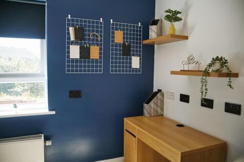 Williams street2 14