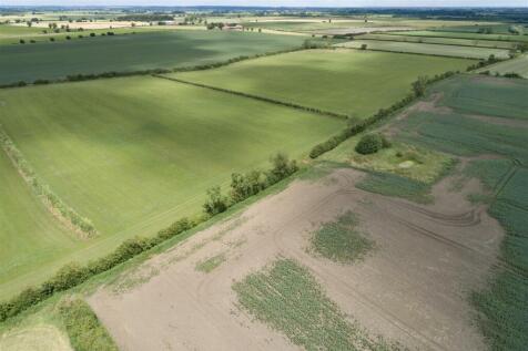 DJI_0125.jpg