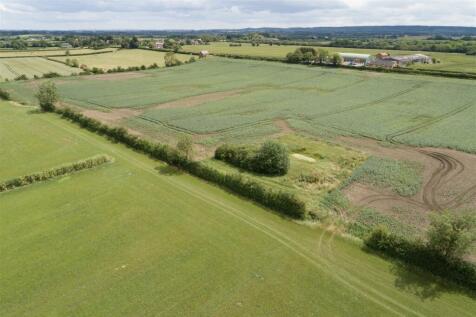 DJI_0132.jpg