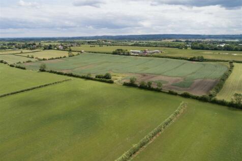 DJI_0137.jpg