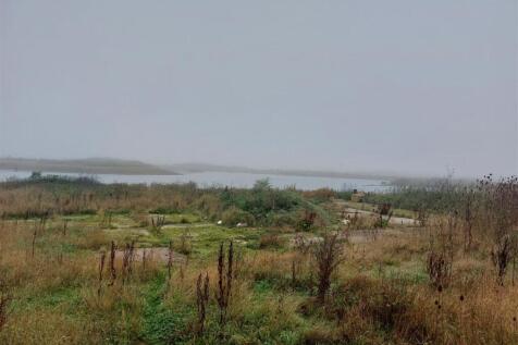 20241018_101158.jpg