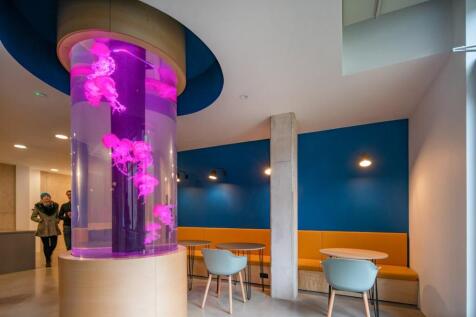 Jellyfish_032.jpg