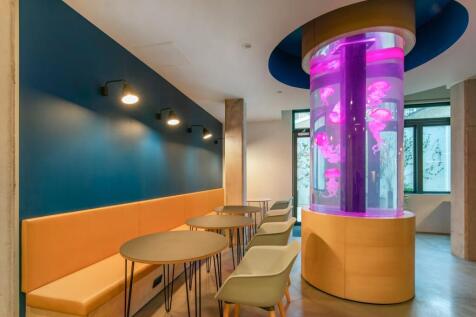 Jellyfish_037.jpg