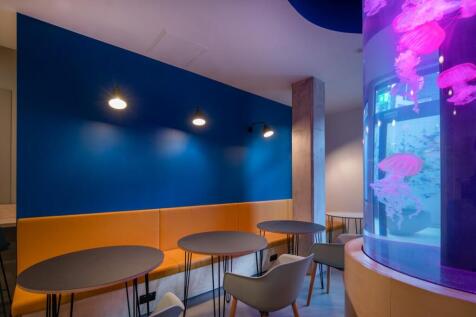 Jellyfish_038.jpg