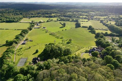 The South Downs