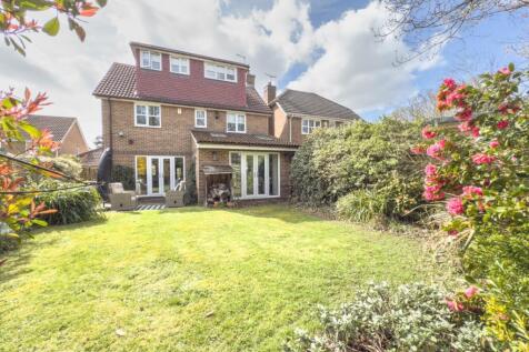 Property Image 23