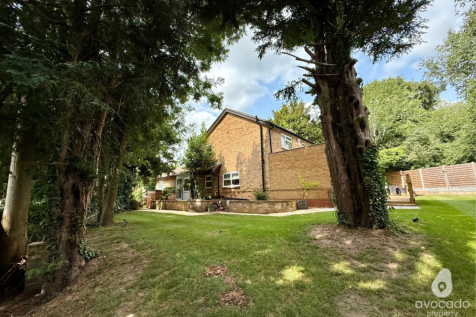Property Image 33
