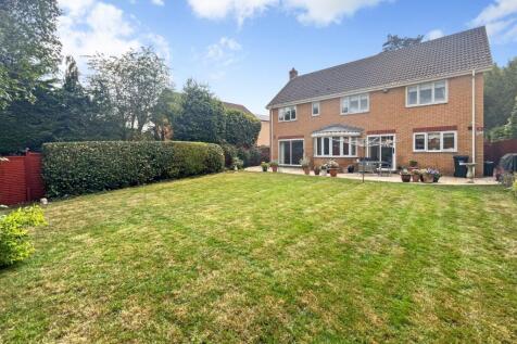Property Image 23