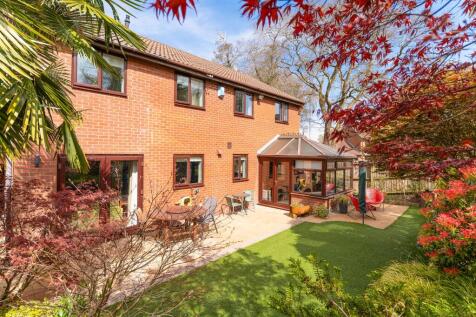 Property Image 32