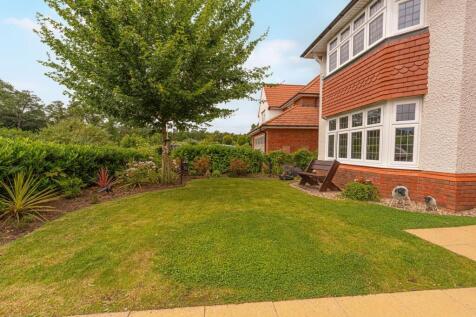 Property Image 49