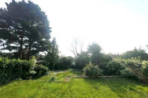 garden.jpg