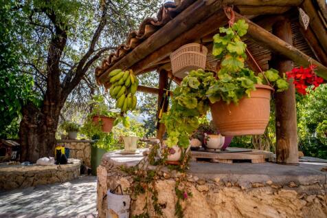 Property Image 37